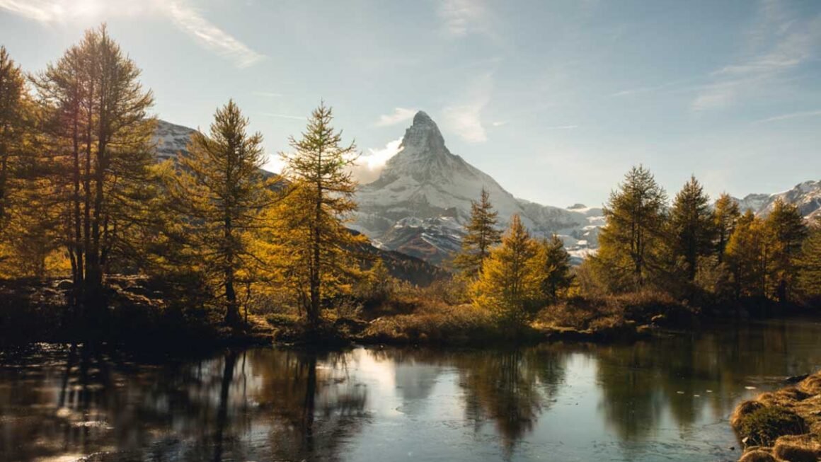 The Ultimate Cheat Sheet on landscapes
